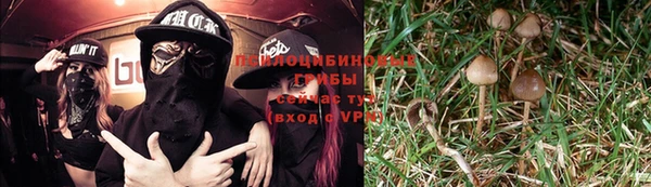 стаф Ростов
