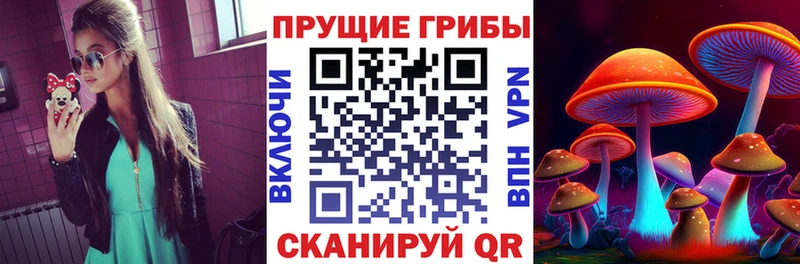 магазин продажи   Черепаново  Галлюциногенные грибы Psilocybine cubensis 